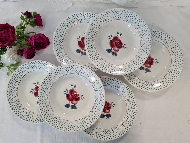 Assiettes creuses anciennes X6 modèle "René" de la manufacture française de Digoin