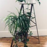 Old riveted stepladder