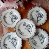 Lunéville Carnation Plates