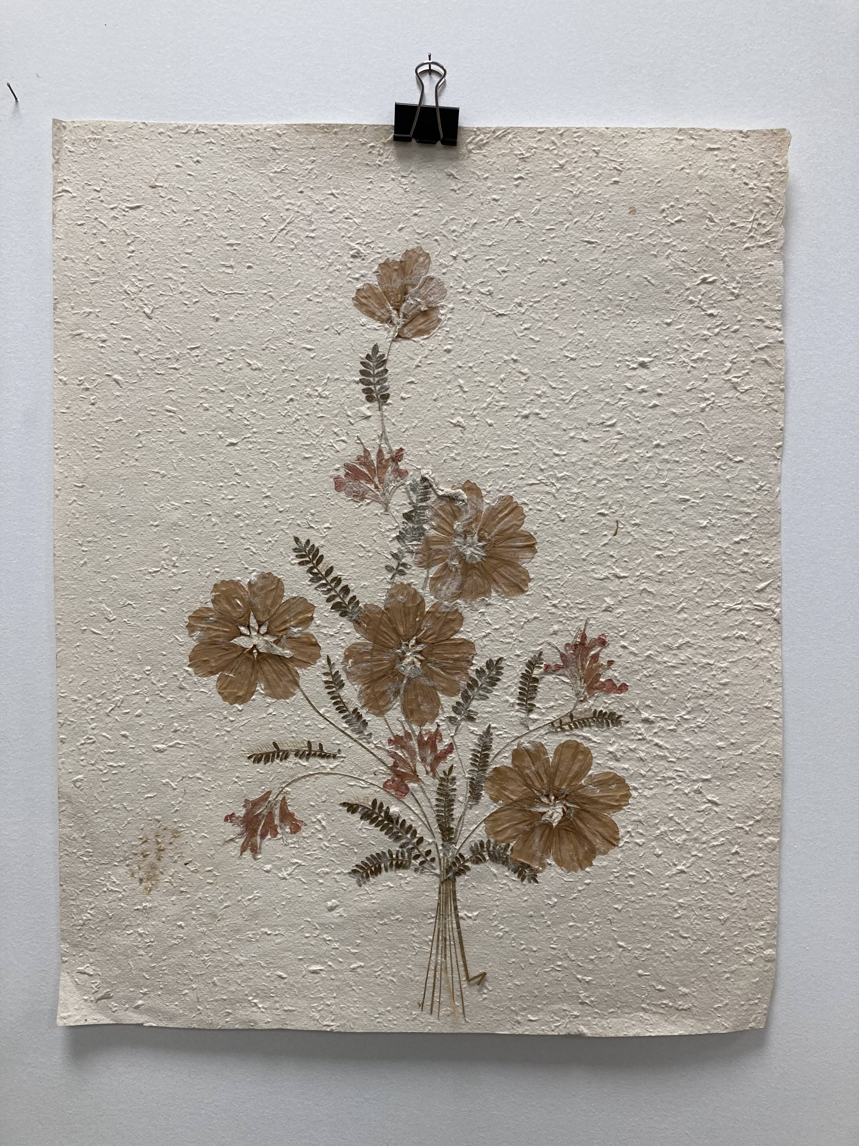 Planche fleurs séchées