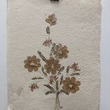Planche fleurs séchées