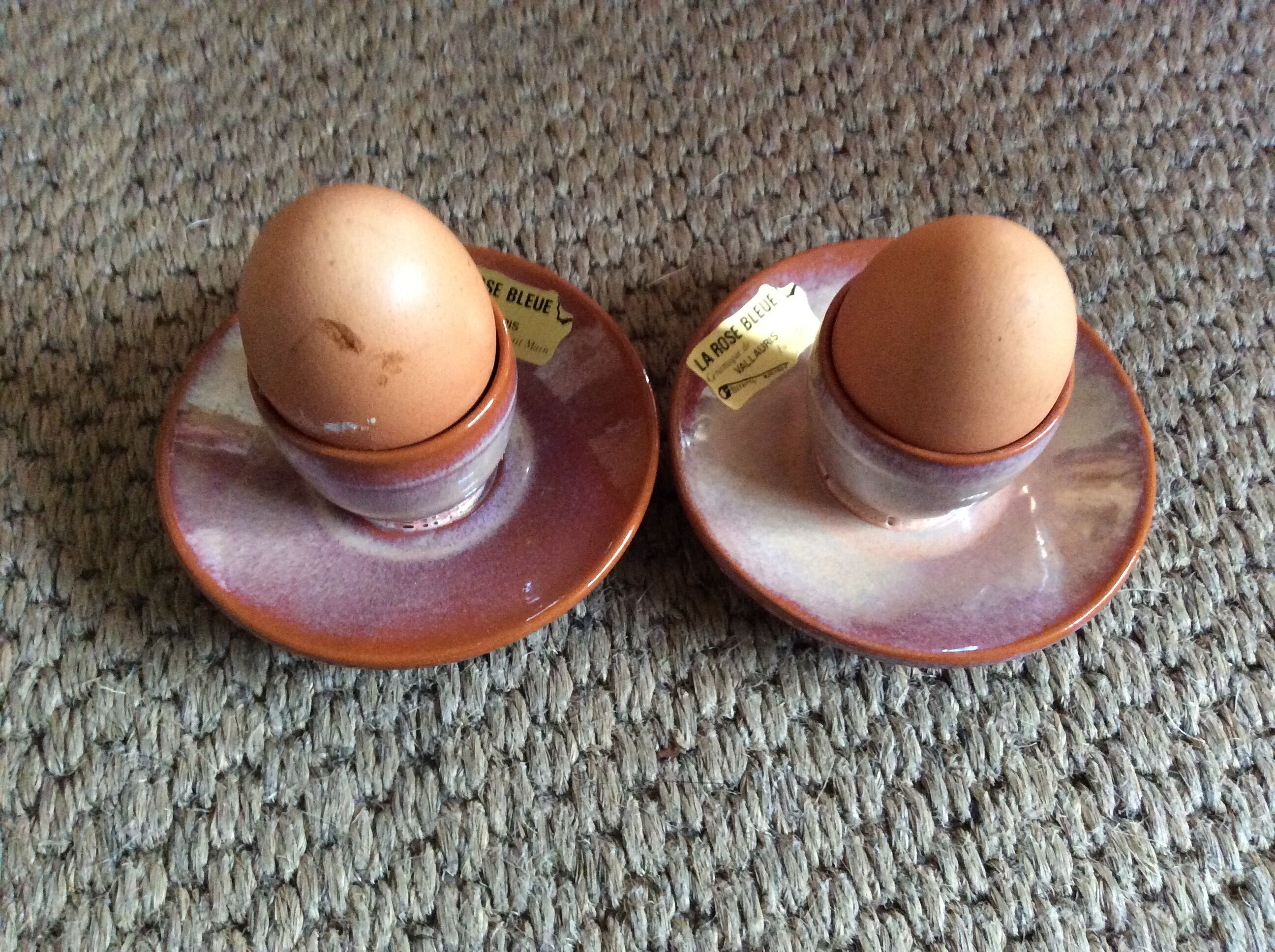 Series of 2 cockroats