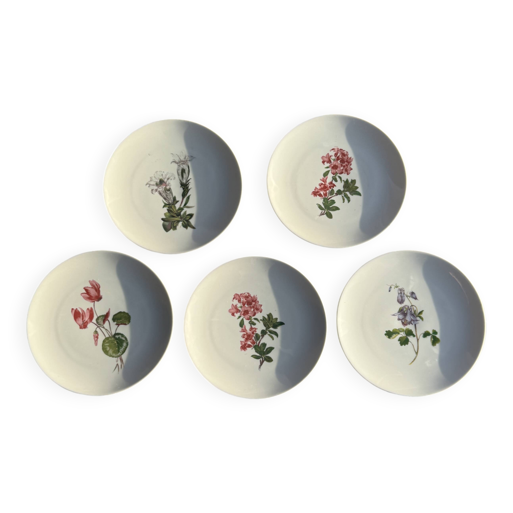 Set of 5 dessert plates with flower patterns Germany Bavaria D19