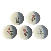 Lot de 5 assiettes à dessert motifs de fleurs Germany Bavaria D19