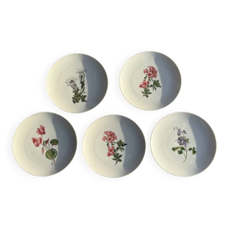 Set of 5 dessert plates with flower patterns Germany Bavaria D19