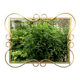Miroir Hollywood Regency biseauté en aluminium anodisé doré