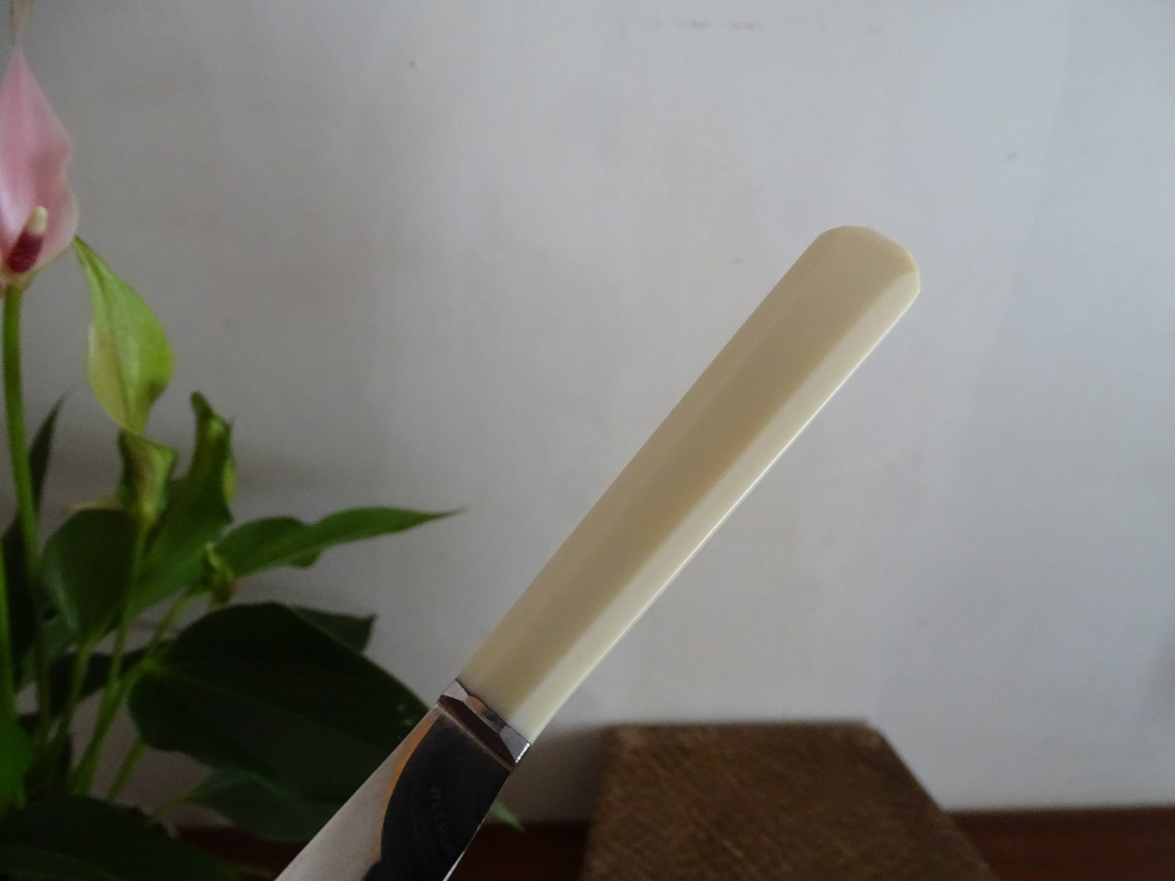 24 Art Deco knives Apollonox bakelite and stainless steel handles in case