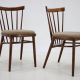 1960s Set of 4 Dining Chairs by Tatra, Czechoslovakia