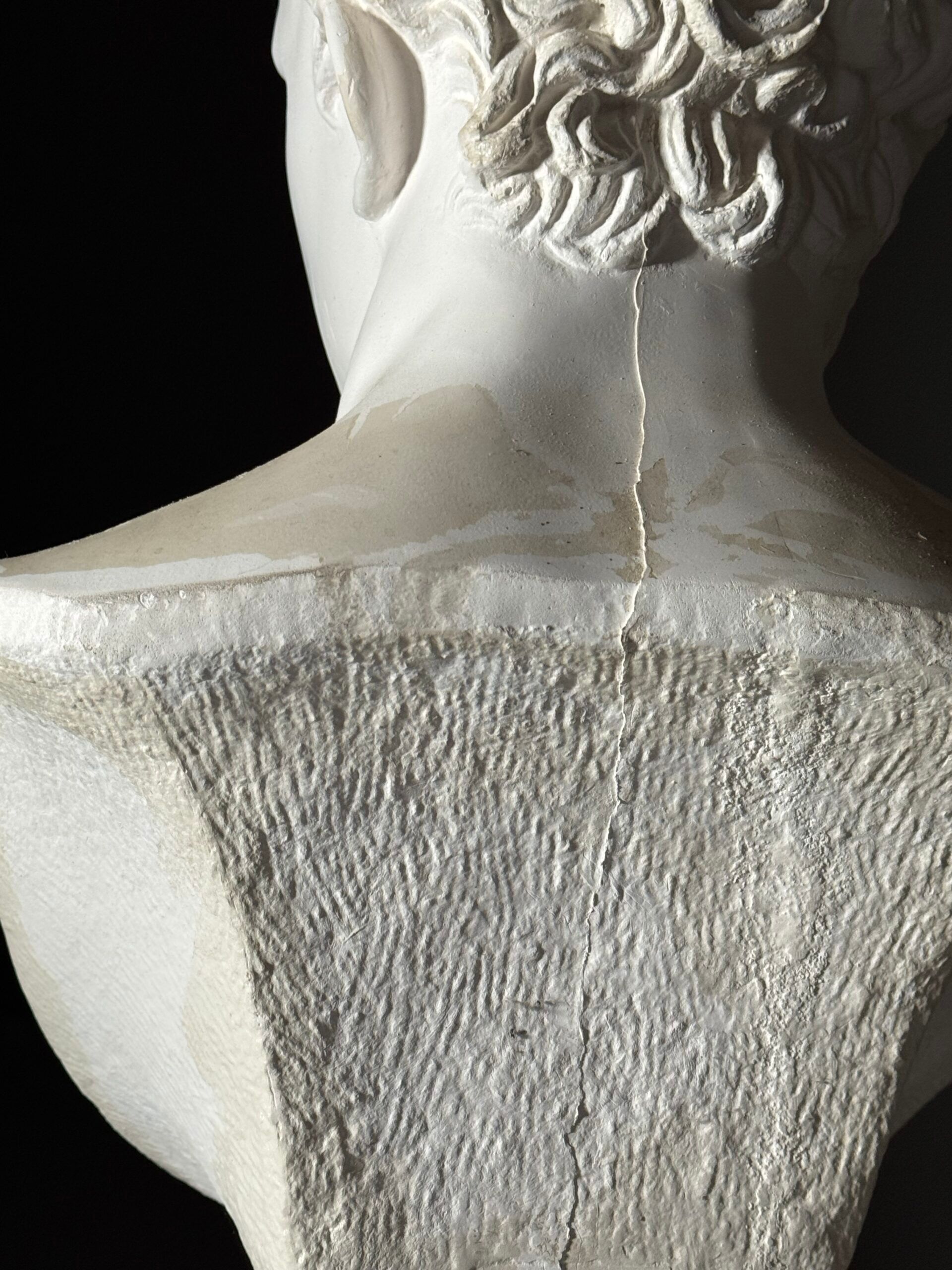 Bust of Meleager plaster classic