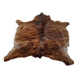 Pony skin