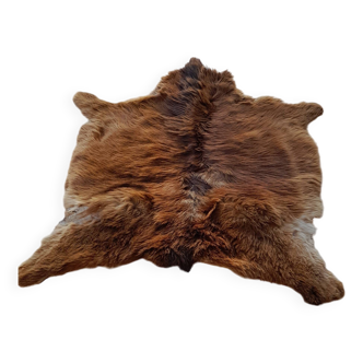 Pony skin