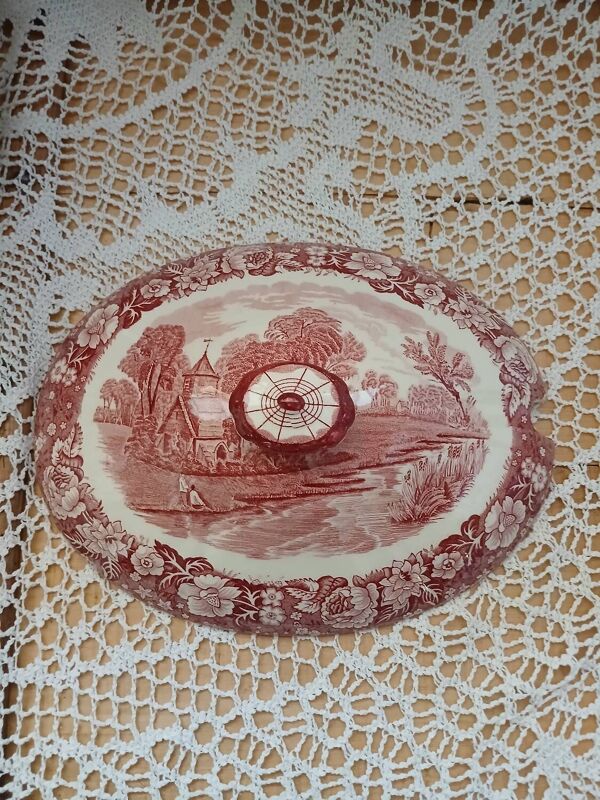 Soupière ancienne Palissy / England