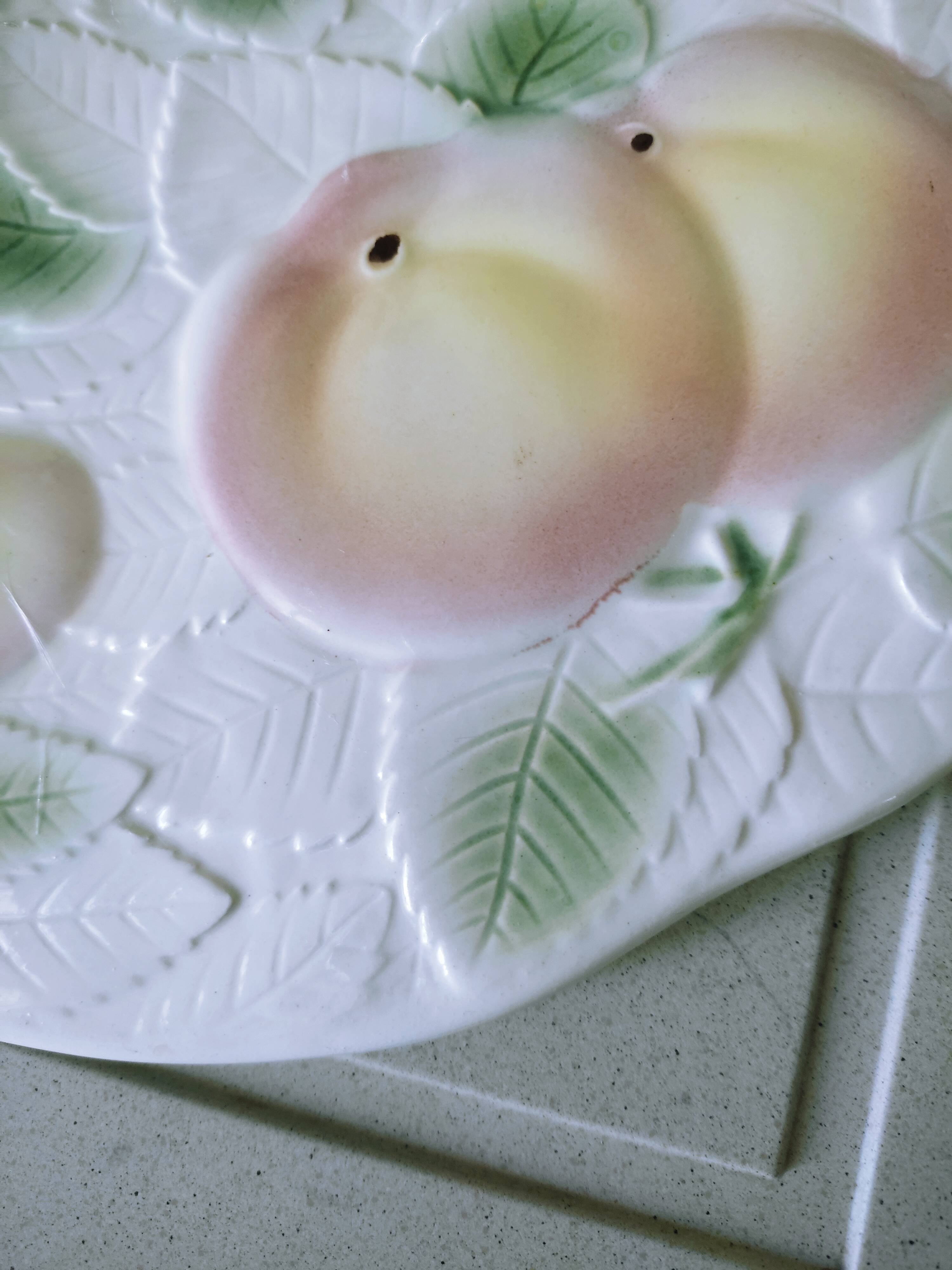 Salins slurry pie dish