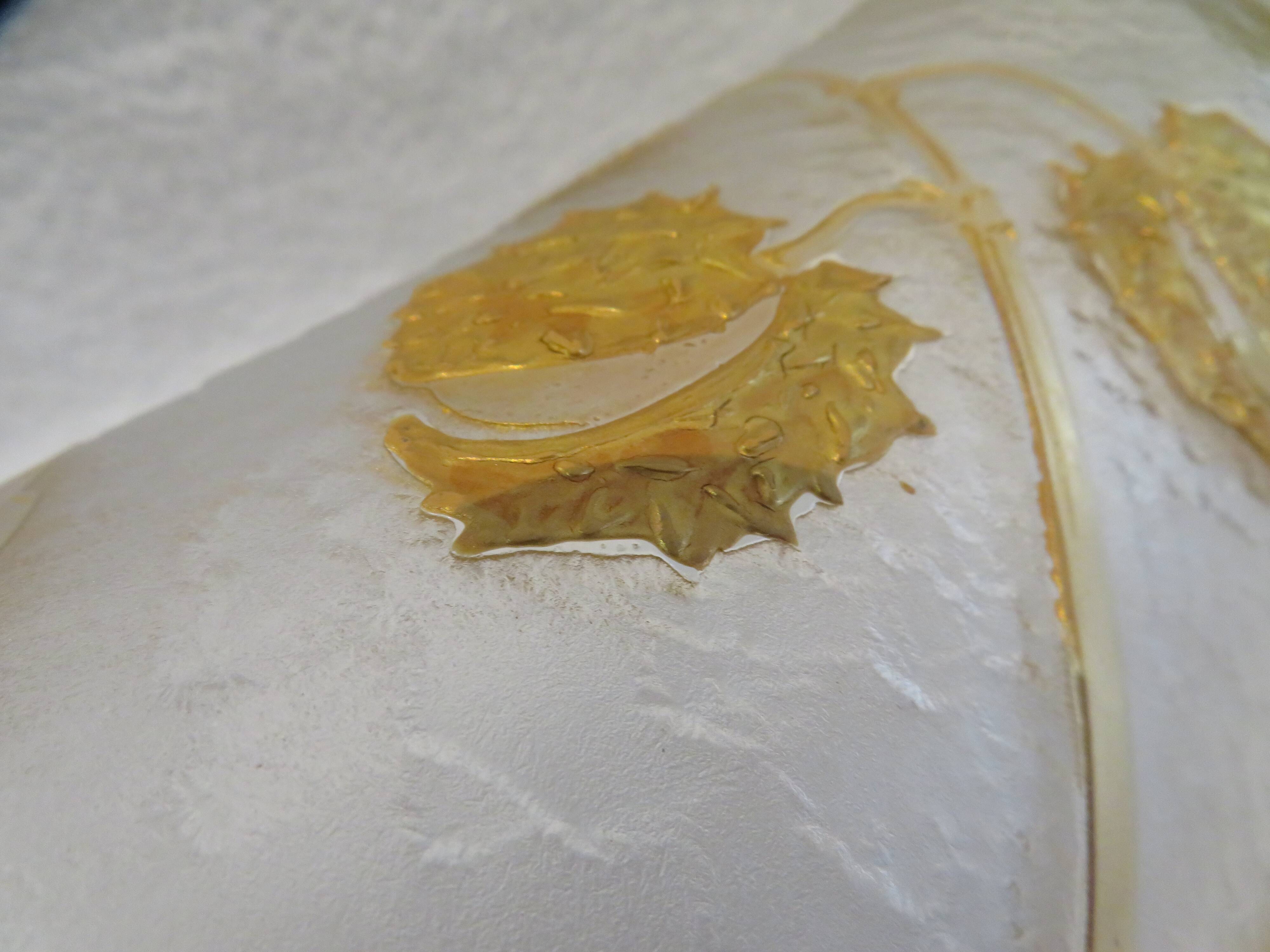 Beautiful acid-etched glass vase from Legras Saint Denis with chestnut tree decoration