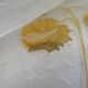Beautiful acid-etched glass vase from Legras Saint Denis with chestnut tree decoration