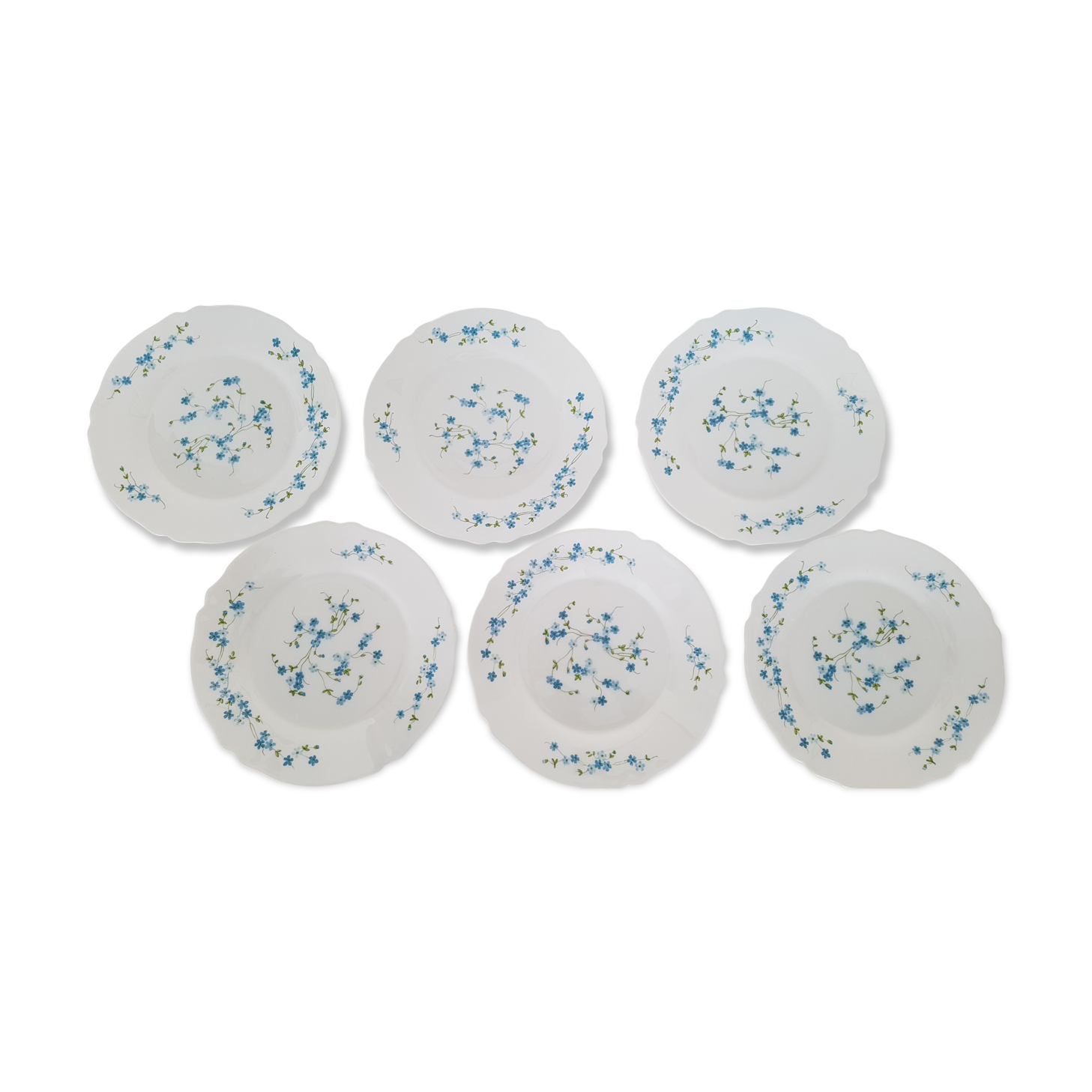 6 flat plates Myosotis veronica Arcopal