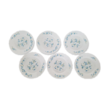 6 flat plates Myosotis veronica Arcopal