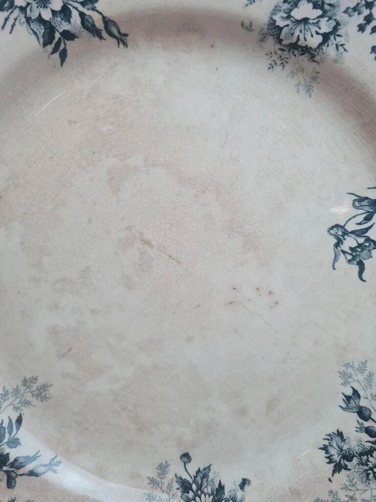 Old plate Terre de Fer Hb & Cie Choisy-le-Roi model Floreal 32 cm