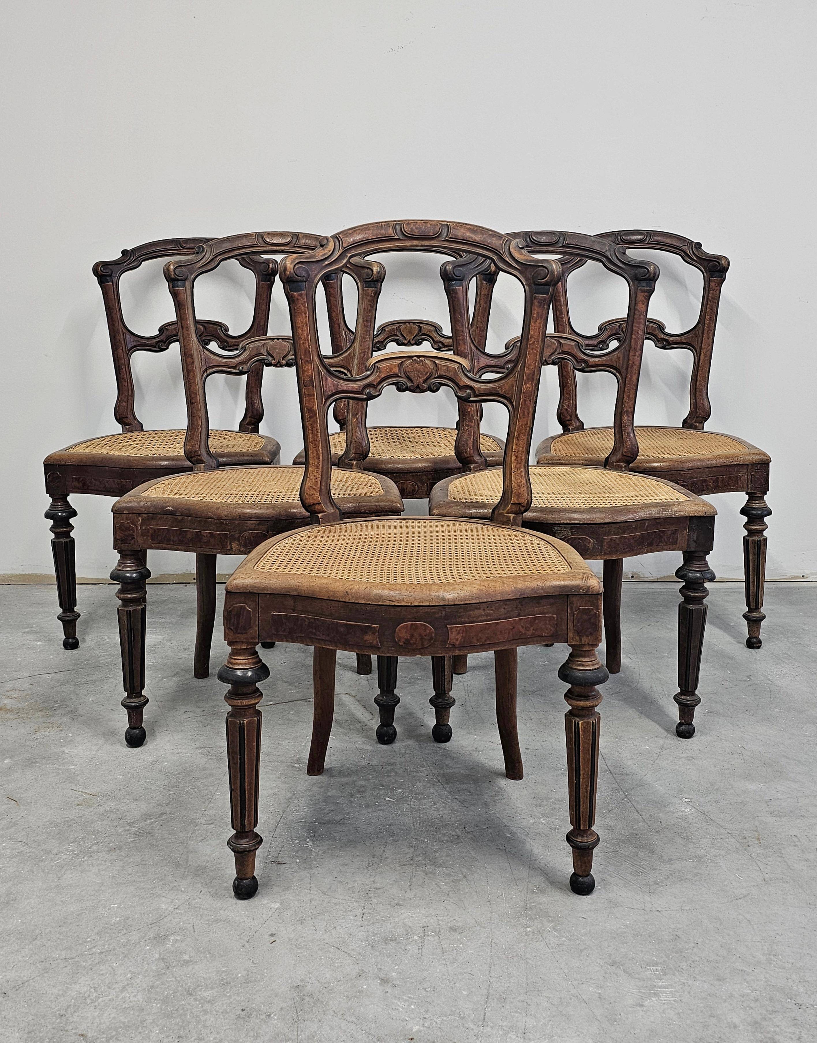 Set of 6 antique dining chairs in solid walnut, cane seats, 19th century.