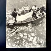 Photo ancienne « les livreurs de meubles en osier »