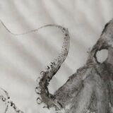 Original print of an octopus