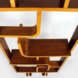 Mid-Century Room Divider by Ludvik Volak for Drevopodnik Holesov, 1960s
