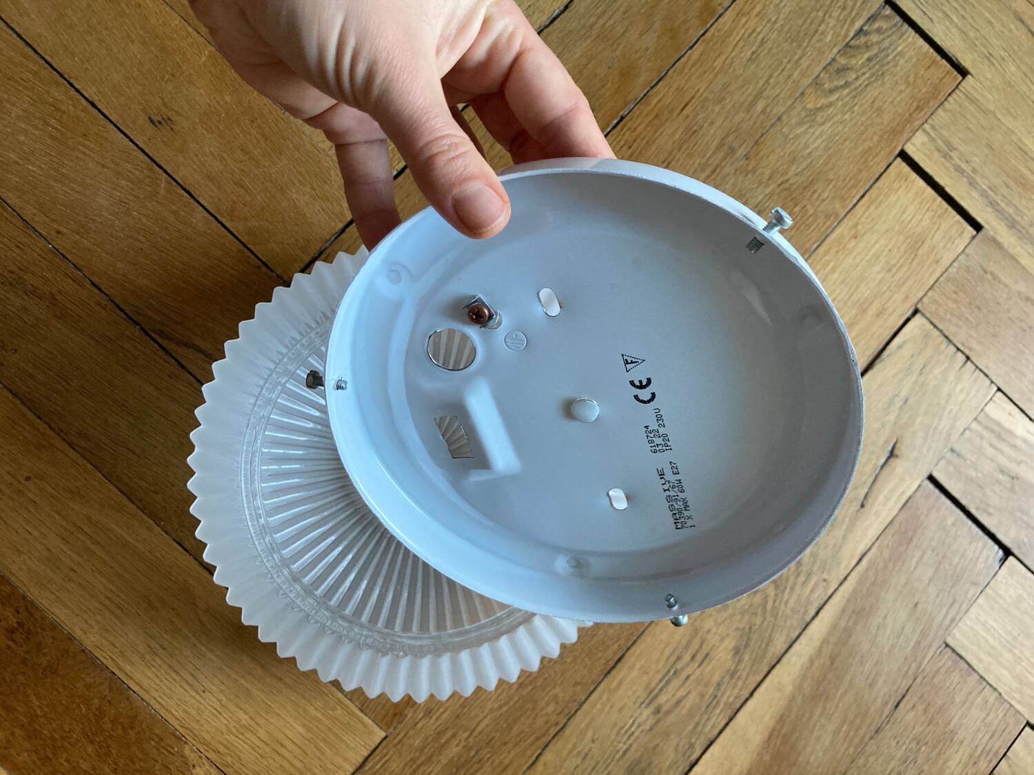 Molded glass flower wall light