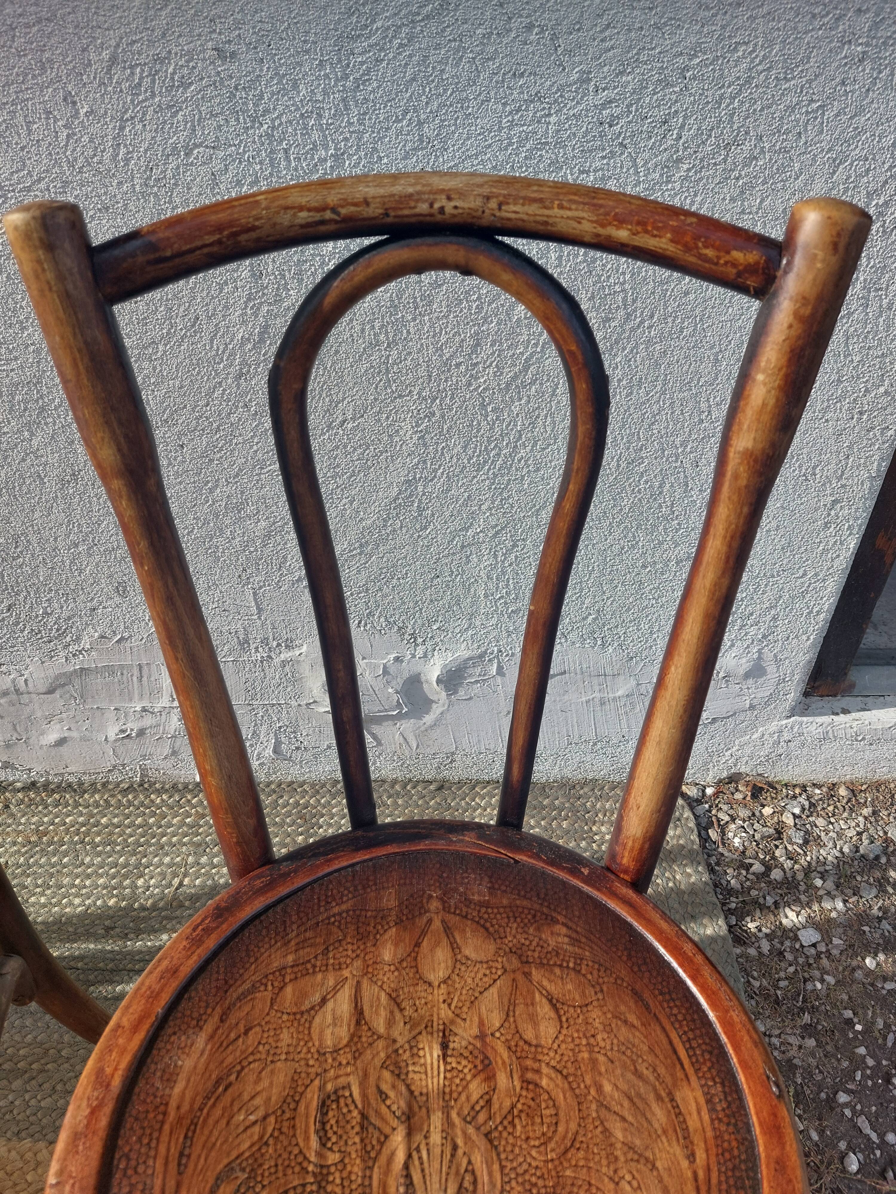 Set of 5 Buchon bistro chairs in curved wood