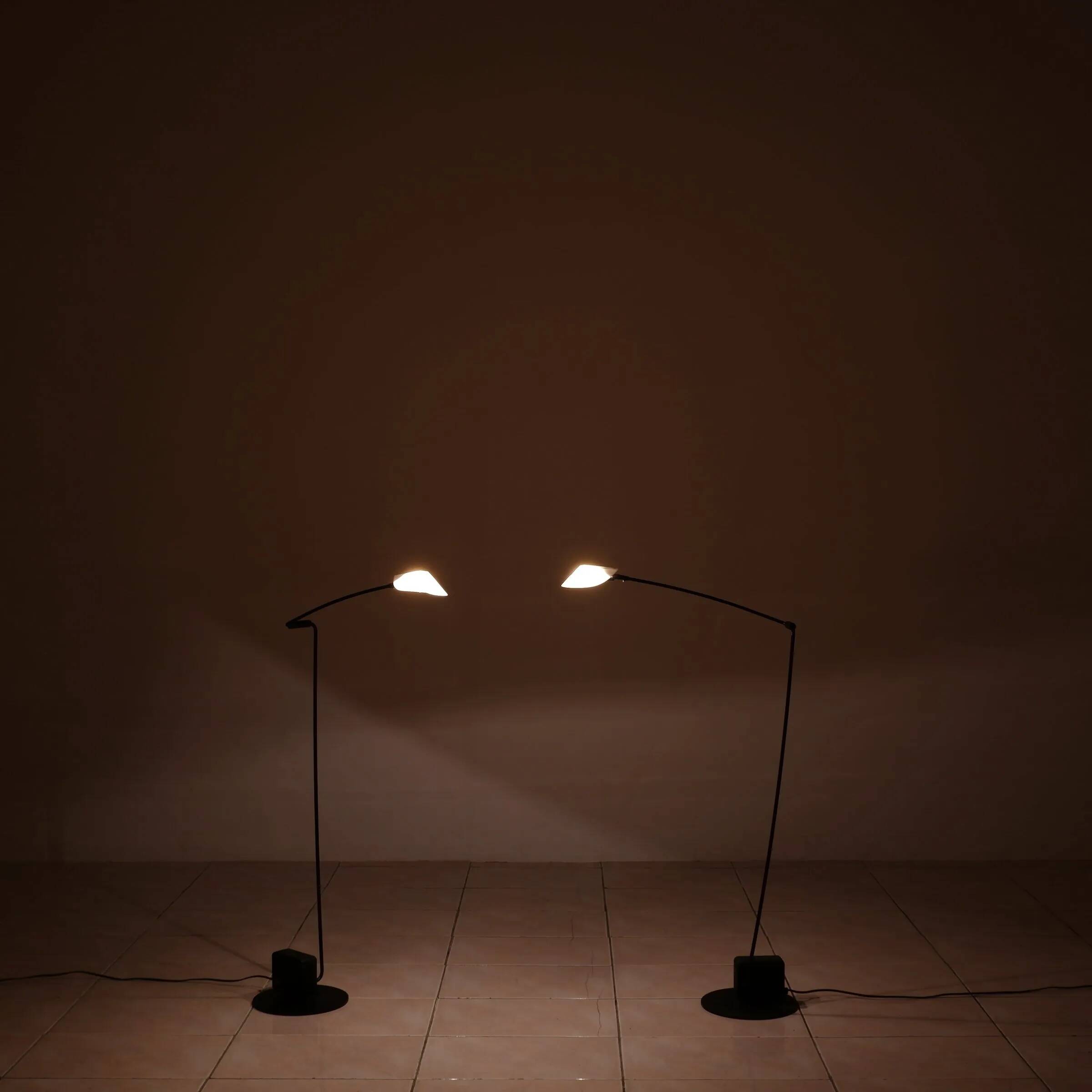 Set of 2 "Ambra" floor lamps by Valenti, Italy