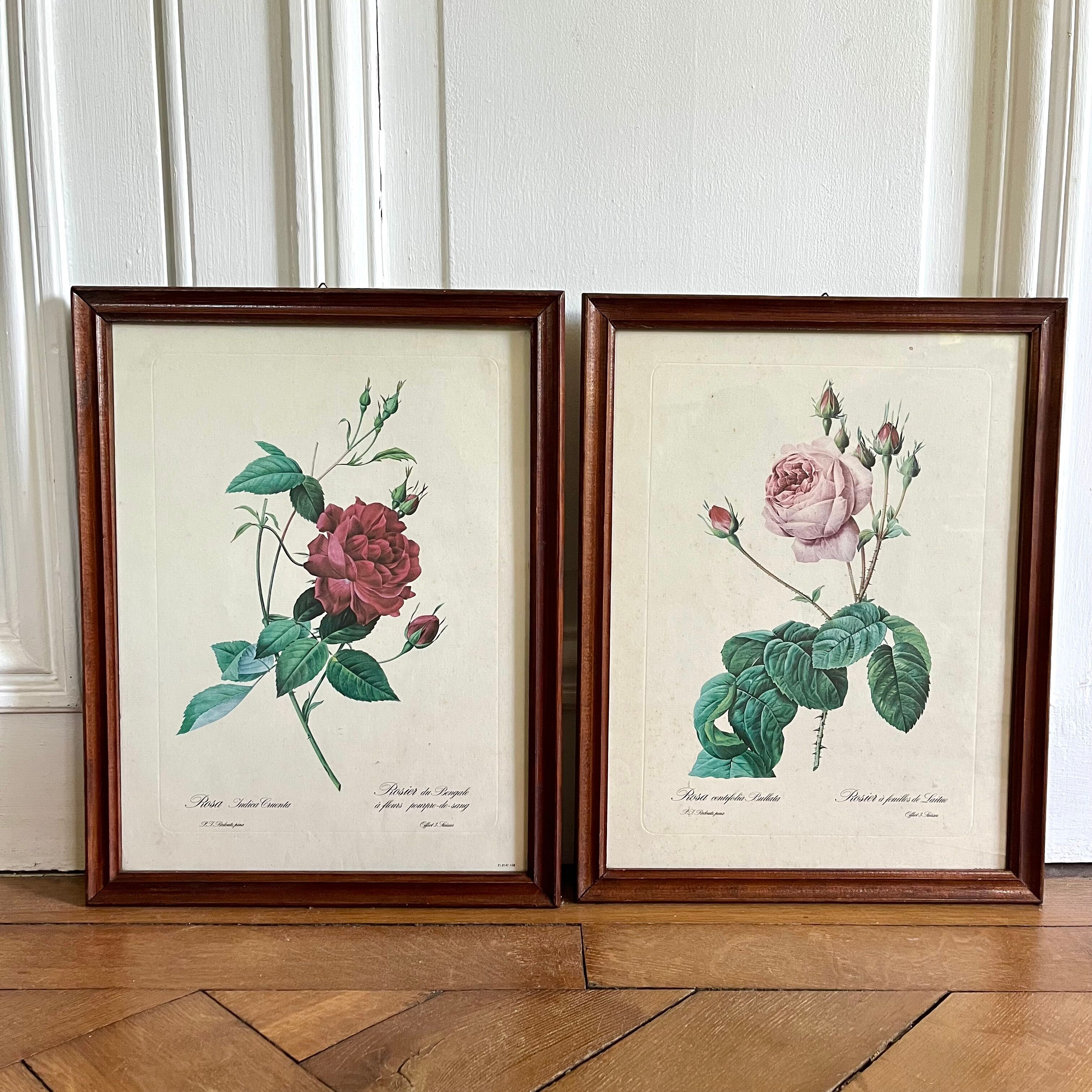 Framed pink botanical posters
