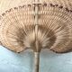 Wicker palm