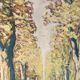 Bright walk, oil on paper signed Vero Cim.