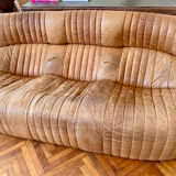 Aralia Sofa by Michel Ducaroy