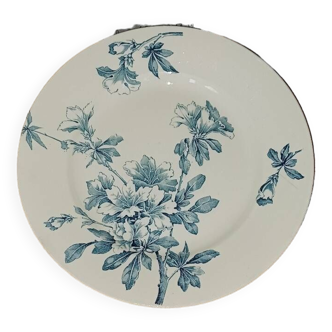 Assiette ancienne plate