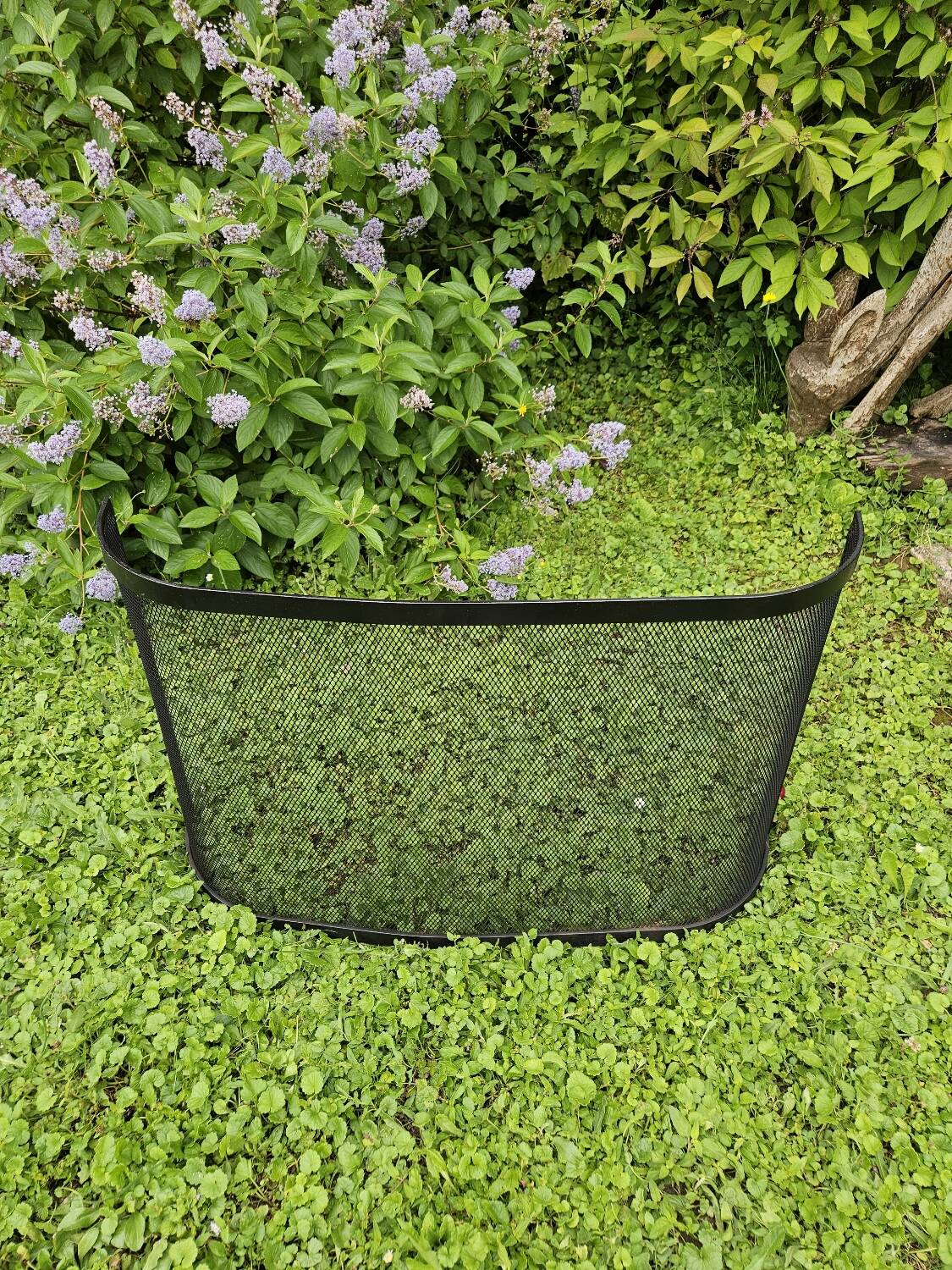 Curved chimney fire screen