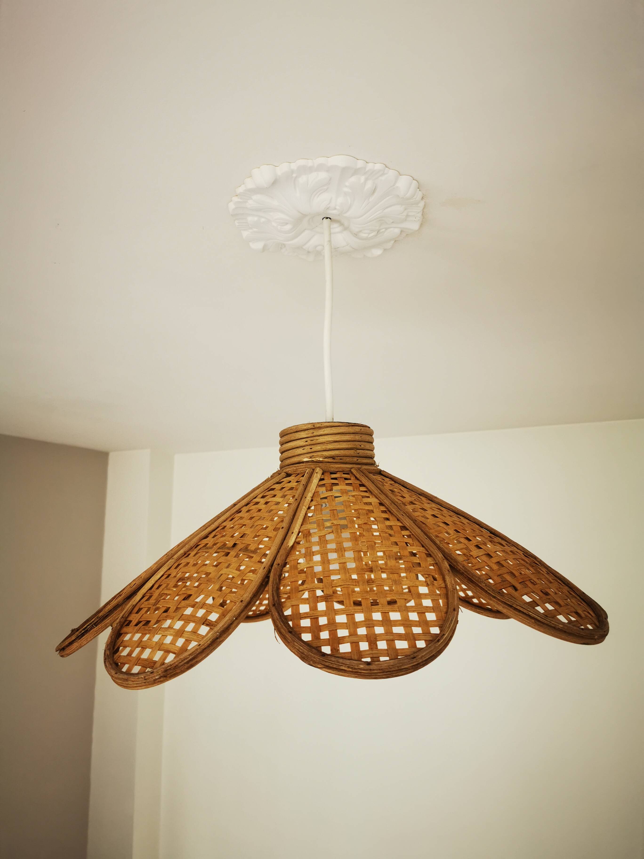 Bamboo rattan suspension and canning