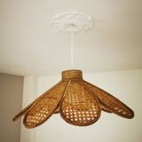 Bamboo rattan suspension and canning