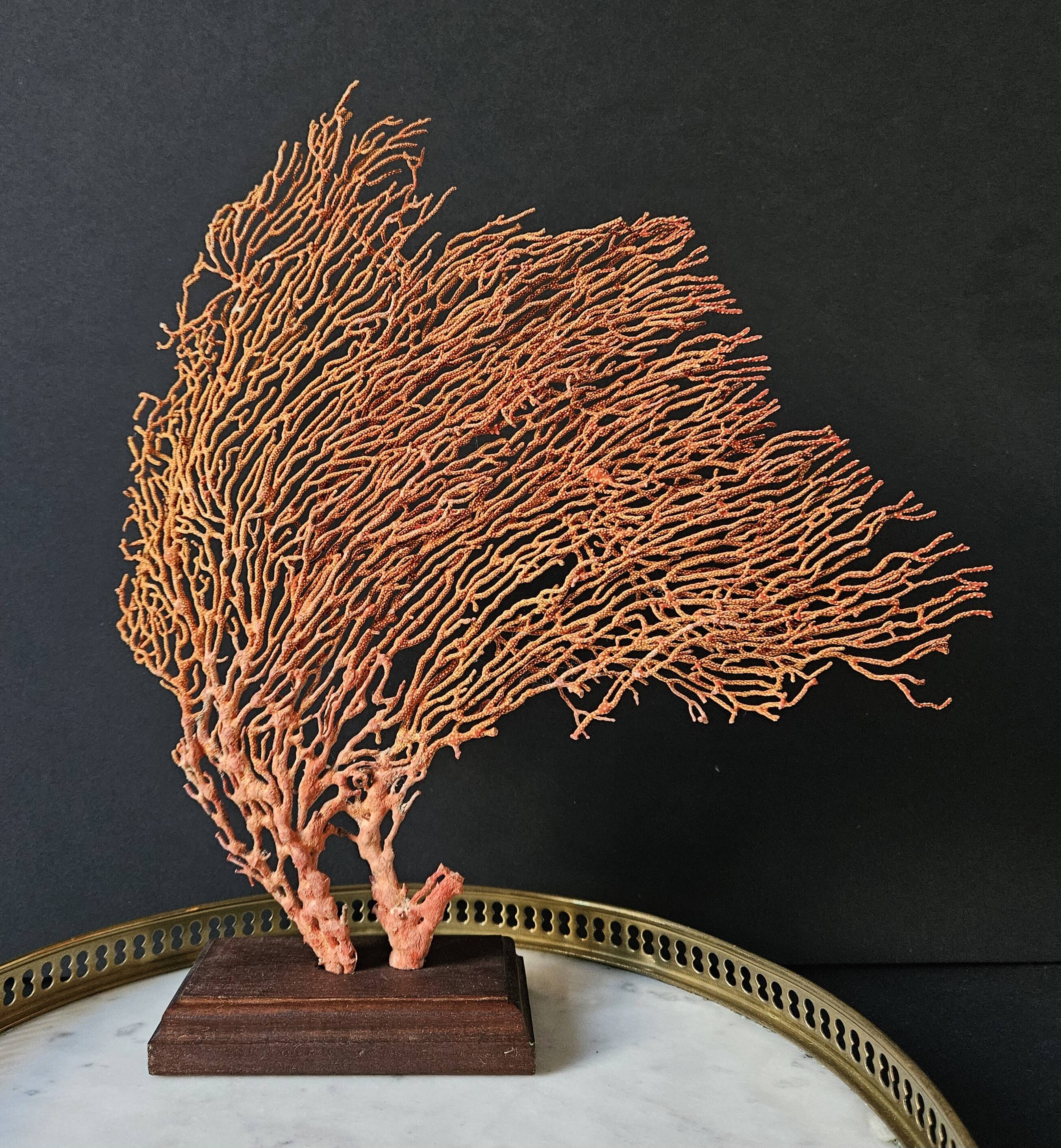 Red Gorgon Wooden Base. H: 32 cm | Decorative Object & Curiosity