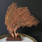 Red Gorgon Wooden Base. H: 32 cm | Decorative Object & Curiosity