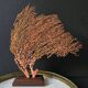 Red Gorgon Wooden Base. H: 32 cm | Decorative Object & Curiosity
