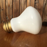 Bulb-shaped opaline globe