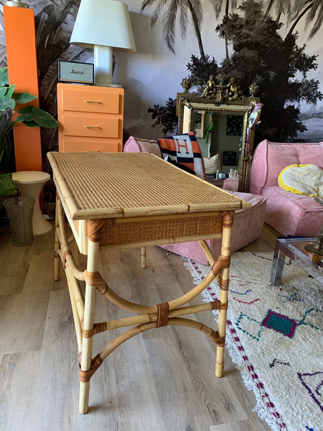 Rattan desk and canning