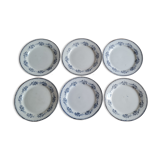 Serving of 6 plates in iron earth