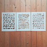 Engravings of lepidoptera lot of 3