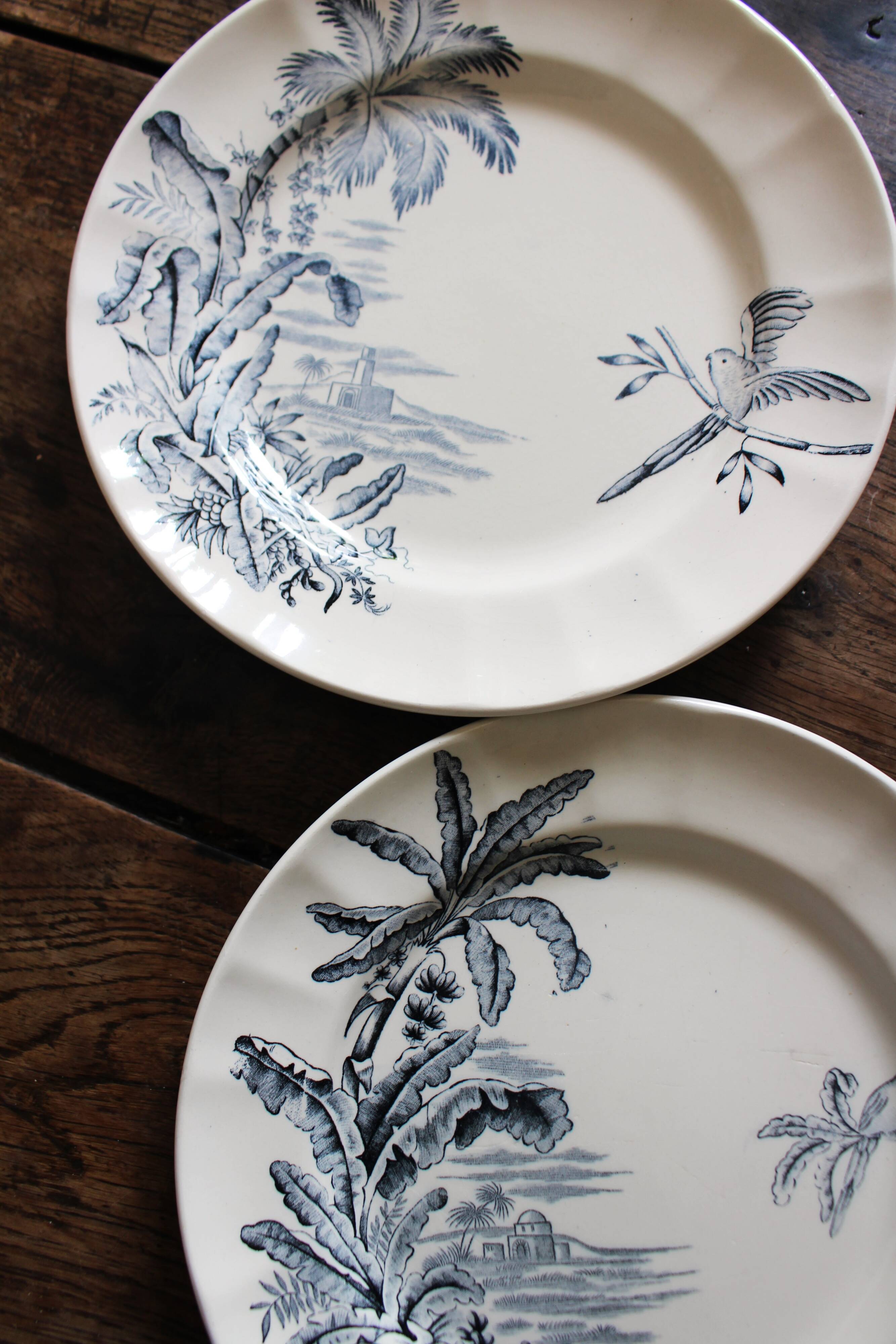6 Terre de Fer blue Marcel Alésia Exotic Longchamp plates