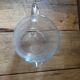 Pichet carafe cristal gravé oiseau