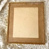 Framed pink botanical board