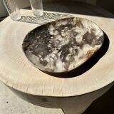 Very large empty pocket or dish in medium light petrified wood 1143