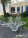 Vase ou Coupe décorative Cristal Art Vannes