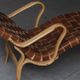 Lounge chair ‘Pernilla 3’, designed by Bruno Mathsson and produced in Sweden by DUX in the 1960’s